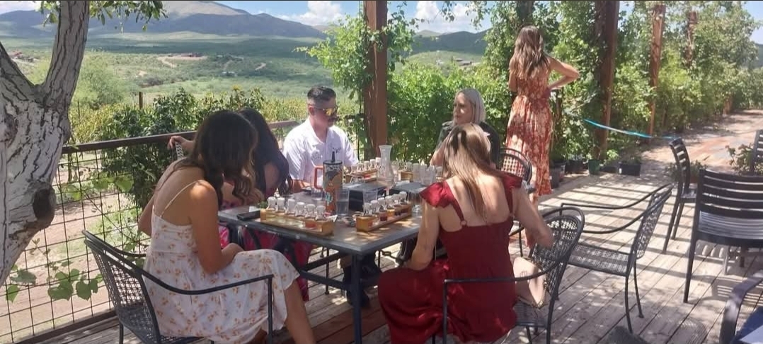 Guests tasting wine on a vineyard deck with Sonoita Wine Tours