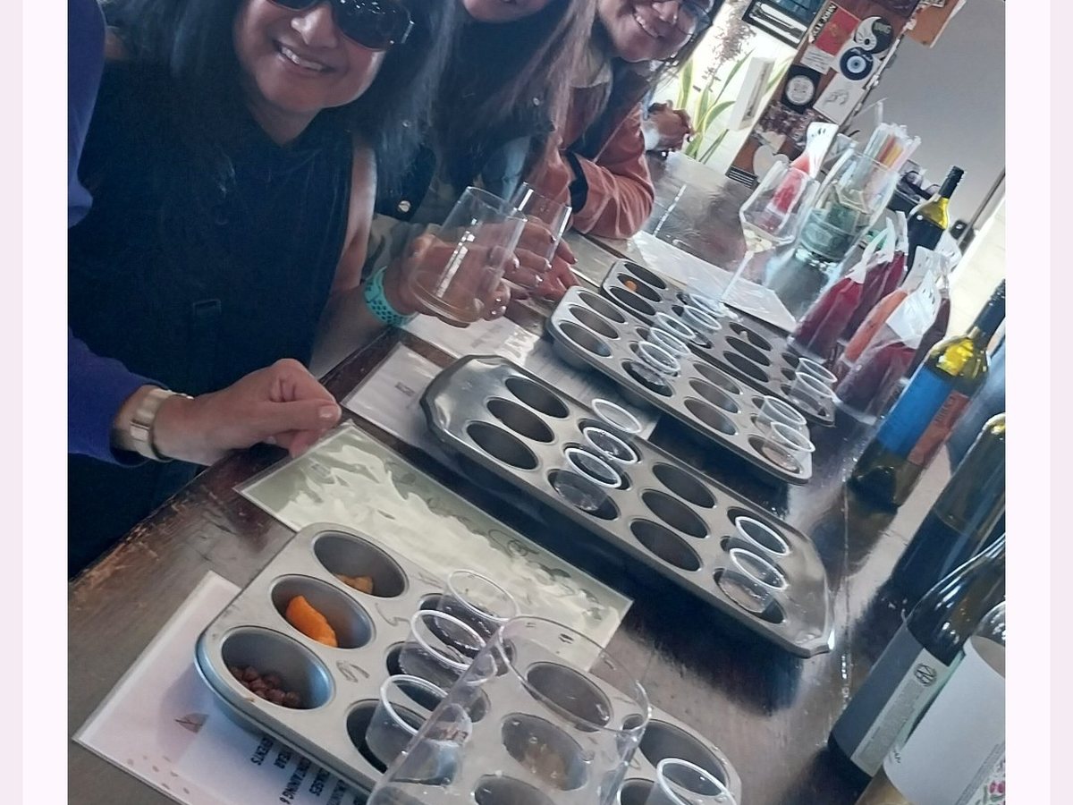 Guests toasting during a wine flight tasting